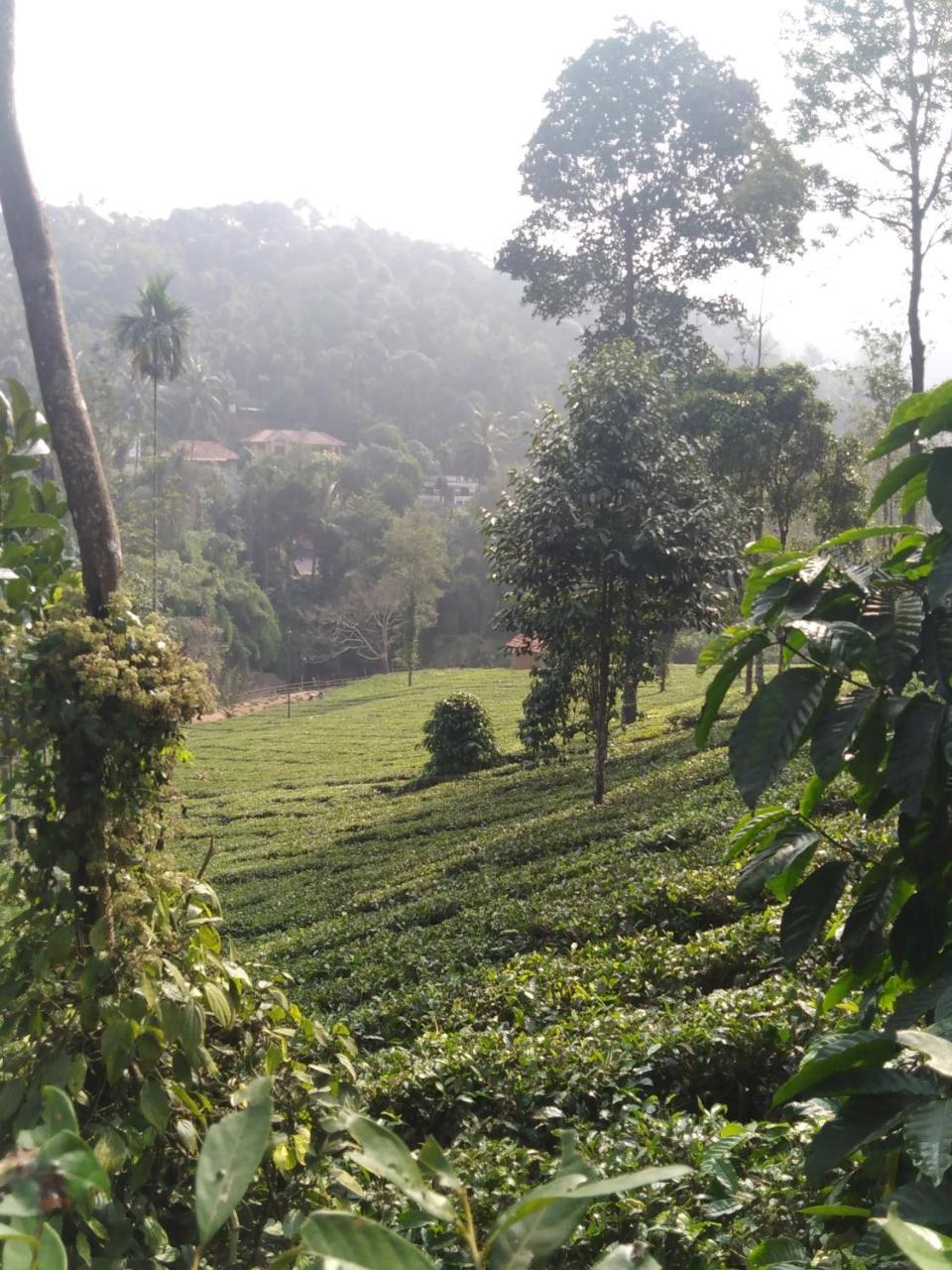 Letstay Vythiri Hill Palace Exterior photo