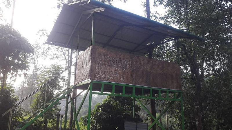 Letstay Vythiri Hill Palace Exterior photo